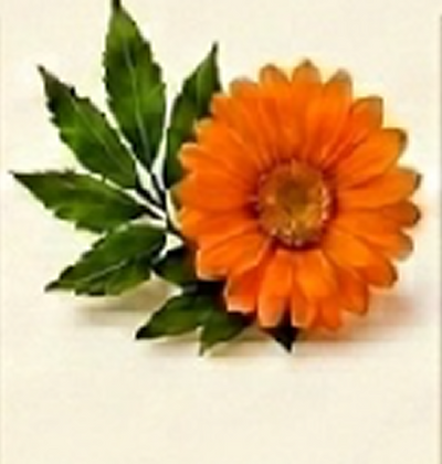 Hemp and Calendula